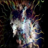test Logo