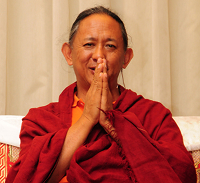 NSS ’17 Talk Ten with Dzigar Kongtrul Rinpoche Logo