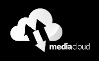 Linden Edge Logo